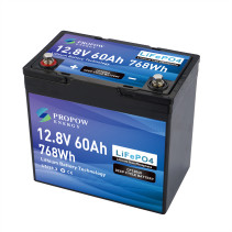 Akumulator LiFePO4 12V 60Ah - CP120060