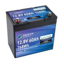 Akumulator LiFePO4 12V 60Ah - CP120060