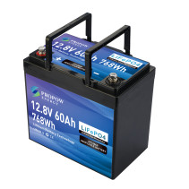 Akumulator LiFePO4 12V 60Ah - CP120060